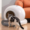 Eziclean® Automatische Kattenbak Robot K8i in kamer